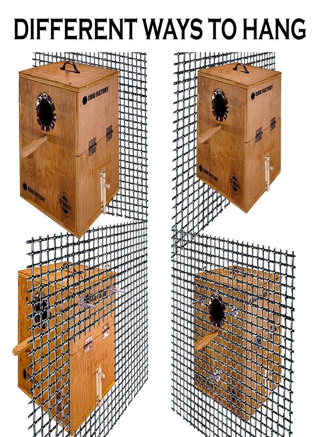 CRIB FACTORY Perfect Breeding Box for Cockatiel Birds | HIGH-QULTY Plywood | 10X10X12 INCH | Designed for Cockatiel (with Two Tray) - Image 5