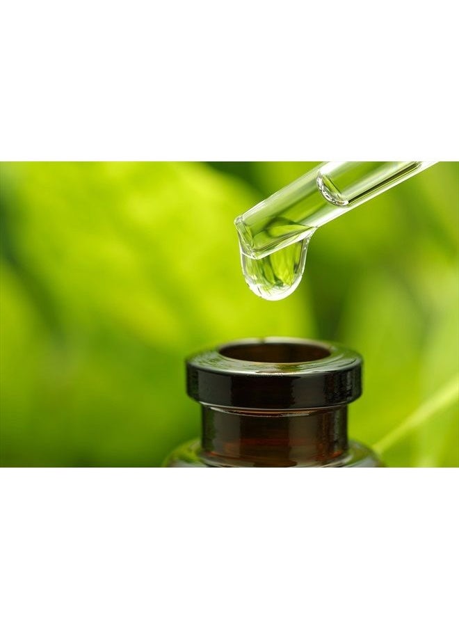 Macadamia Natural Oil - Macadamia Oil Natural Oil Healing Oil Treatment 4.2 Ounces - Image 1