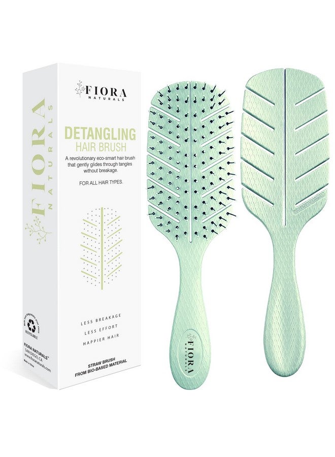 Fiora Naturals فرشاة فك التشابك من فيورا ناتشورالز، فرشاة فك التشابك صديقة للبيئة بنسبة 100% بشعيرات فائقة النعومة تنزلق خلال التشابك بسهولة للشعر المجعد والمستقيم والأسود الطبيعي للنساء والرجال والأطفال والشعر الجاف والمبلل - Image 1