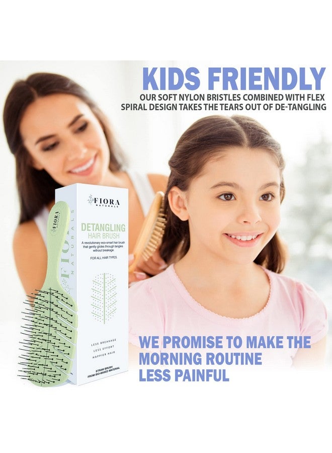 Fiora Naturals فرشاة فك التشابك من فيورا ناتشورالز، فرشاة فك التشابك صديقة للبيئة بنسبة 100% بشعيرات فائقة النعومة تنزلق خلال التشابك بسهولة للشعر المجعد والمستقيم والأسود الطبيعي للنساء والرجال والأطفال والشعر الجاف والمبلل - Image 4