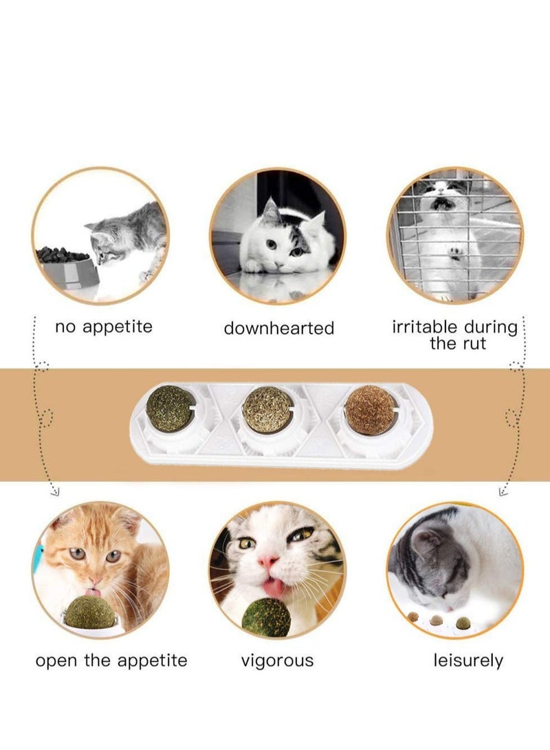 SYOSI Catnip Squash Ball Toy 3 in 1 Rotatable Cat Snacks Edible with Natural Healthy Silver Vine Spit Hair Chewing Clean Teeth Toys - Image 3