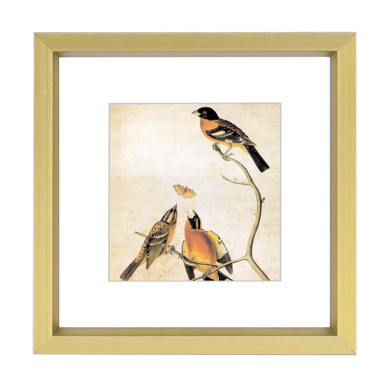 BKABOT 10x10 Picture Frame  Brass Metal Square Photo Frames with HD Glass  Fits 6x6 with Mat or 10 x 10 without Mat  Display for Wall and Table  1 Pack - Image 1