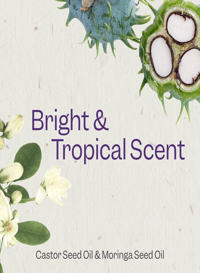 Renpure مجموعة شامبو وبلسم زيت الخروع والمورينغا من رينبيور، نباتية - تعزز التجاعيد - تجاعيد مرطبة وسهلة التحكم وخالية من التجاعيد - زيت بذور الخروع والمورينغا - للشعر المموج إلى المجعد - 24 أونصة سائلة لكل منهما، عبوتين - Image 3