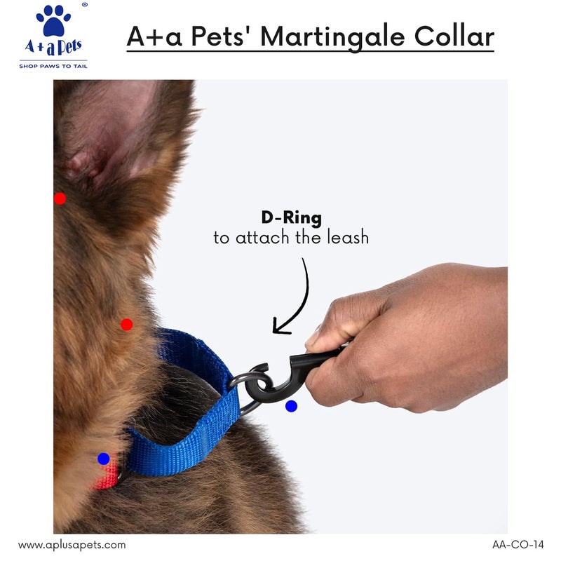 A+a Pets Martingale Dog Collar | No Pull Design, No Neck Strain, No Choke Design | for Large & Medium Dogs | Rust Free, Waterproof Nylon Training Collar (Pink & Orange), 30 x 2.5 cm - Image 2