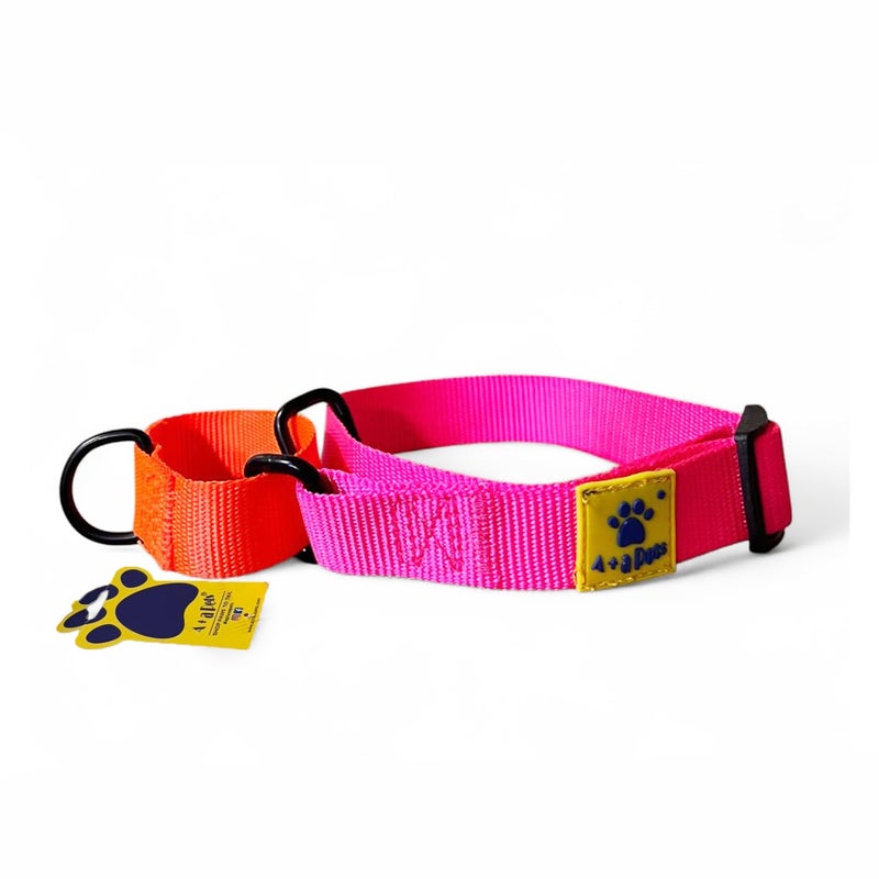 A+a Pets Martingale Dog Collar | No Pull Design, No Neck Strain, No Choke Design | for Large & Medium Dogs | Rust Free, Waterproof Nylon Training Collar (Pink & Orange), 30 x 2.5 cm - Image 1