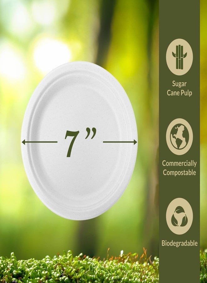 Reli. Compostable Paper Plates 7 Inch (250 Pack Bulk) | White Disposable Plates 7" | Heavy Duty Paper Eco Friendly | Made of Sugarcane Fibers/Bagasse - Biodegradable/Compostable| Small - Image 3