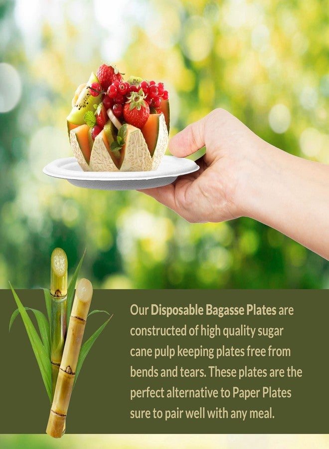 Reli. Compostable Paper Plates 7 Inch (250 Pack Bulk) | White Disposable Plates 7" | Heavy Duty Paper Eco Friendly | Made of Sugarcane Fibers/Bagasse - Biodegradable/Compostable| Small - Image 4