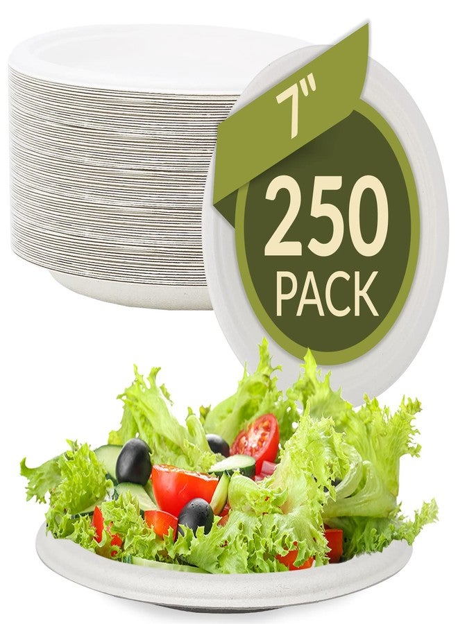 Reli. Compostable Paper Plates 7 Inch (250 Pack Bulk) | White Disposable Plates 7" | Heavy Duty Paper Eco Friendly | Made of Sugarcane Fibers/Bagasse - Biodegradable/Compostable| Small - Image 1