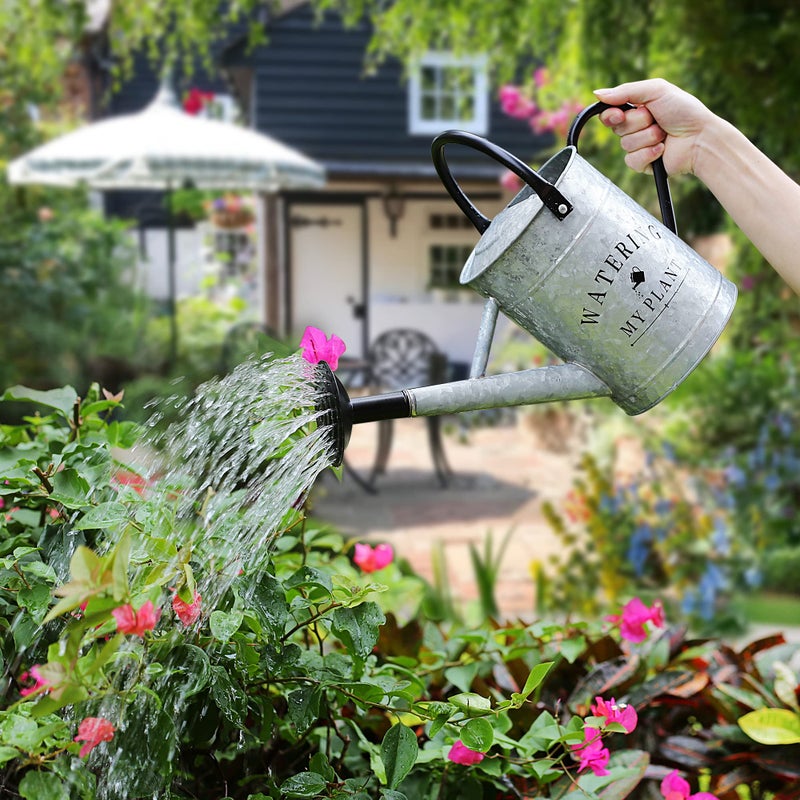 Garutom Galvanized Watering Can for Outdoor Indoor Plants, 1 Gallon Decorative Countryside Style Water Can with Removable Spout, Perfect Metal Watering Can for Indoor Plants and Garden Flower - Image 4