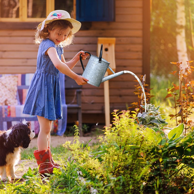 Garutom Galvanized Watering Can for Outdoor Indoor Plants, 1 Gallon Decorative Countryside Style Water Can with Removable Spout, Perfect Metal Watering Can for Indoor Plants and Garden Flower - Image 5