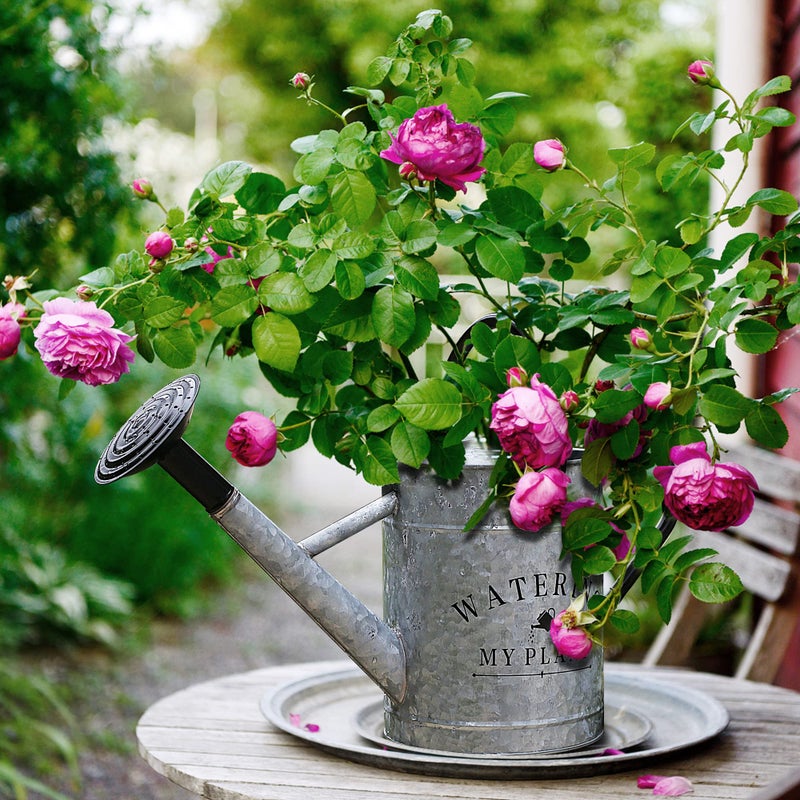 Garutom Galvanized Watering Can for Outdoor Indoor Plants, 1 Gallon Decorative Countryside Style Water Can with Removable Spout, Perfect Metal Watering Can for Indoor Plants and Garden Flower - Image 3