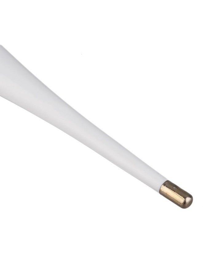 NIBEMINENT Oral Digital LCD Thermometer - Image 5