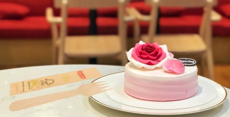 Gmark Disposable Wooden Forks Paper Wrapped | Pack of 100-6.5"" Forks | 100% All-Natural  Eco-Friendly  Biodegradable  and Compostable 100 ct Individually Wrapped in Box GM1026 - Image 4