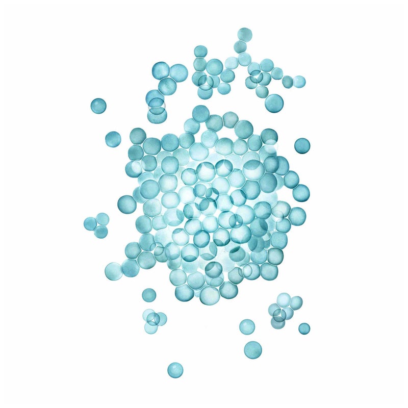 Nexxus Humectress Conditioner For Dry Hair Ultimate Moisture With Caviar & Protein Complex 5.1 oz - Image 2