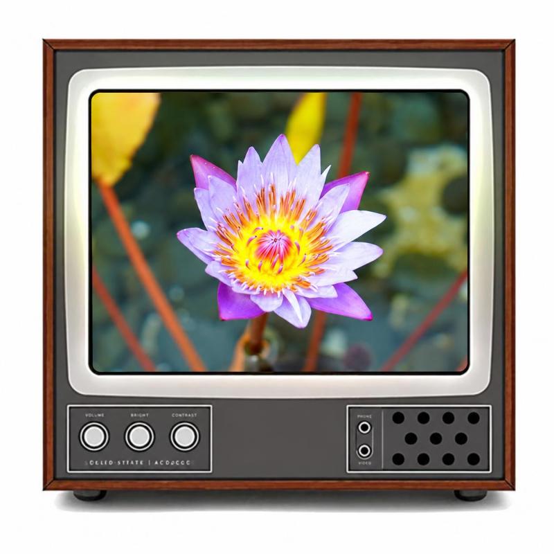 Mobile Phone Video Screen Magnifier: 3X Magnification, High Definition Optics, Lightweight Portable - Clear Dynamic Picture Screen Magnifier for Indoor Camping Travel Leisure - Image 1