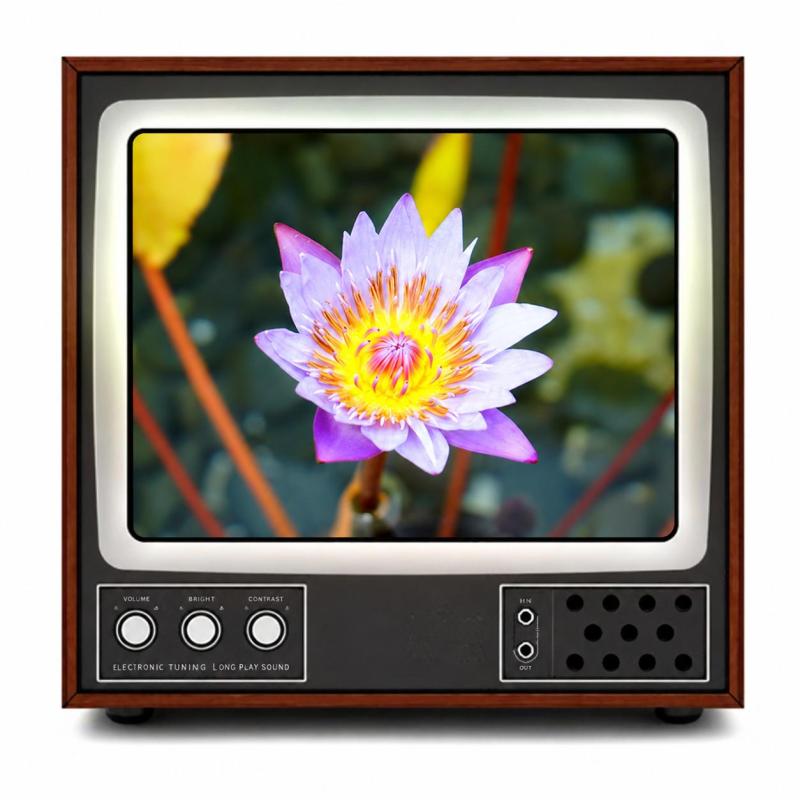 Mobile Phone Video Screen Magnifier: 3X Magnification, High Definition Optics, Lightweight Portable - Clear Dynamic Picture Screen Magnifier for Indoor Camping Travel Leisure - Image 5
