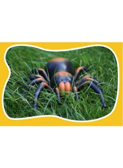 General Remote Control Spider for Kids – RC Tarantula with LED Eyes – Realistic Animal & Moving Legs – Fast-Moving & 360 Spin – Blue Tarantula – 6 Years +  - Image 4