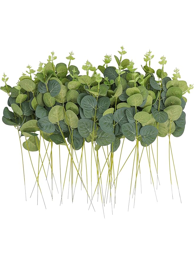 إيروريكس 50 قطعة من سيقان شجر الكينا الاصطناعية وأوراق شجر الكينا المزيفة وأوراق شجر الكينا الحقيقية وفروع الخضرة الاصطناعية لباقة الزفاف وغرفة النوم والمكتب والحمام وغرفة المزرعة والديكور الداخلي - Image 1