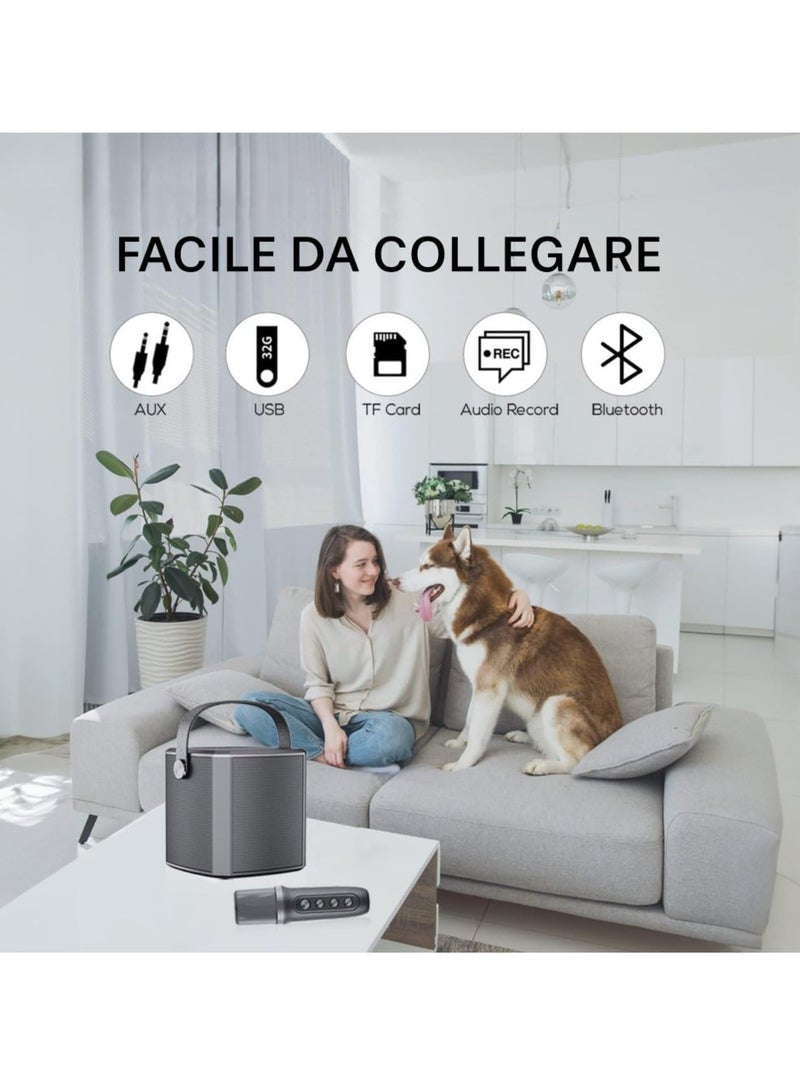 TIGER Portable Bluetooth Karaoke Speaker – Rechargeable Wireless Microphone, Type-C Charging, Various Voice Modes, TF Card Support, Wireless Karaoke System for Home, Parties, and Travel - Image 5