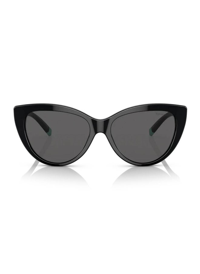 تيفاني تيفاني آند كو. 0tf4196 8001s456 نظارة شمسية نسائية  - Image 2
