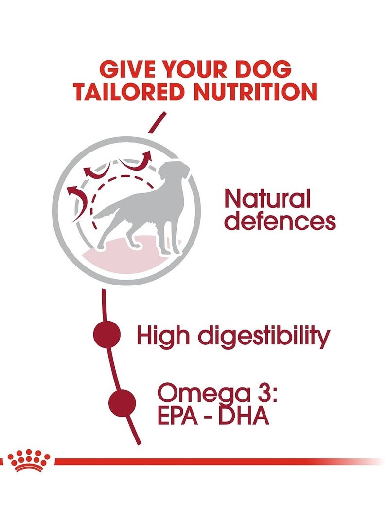 ROYAL CANIN Royal Canin Medium Adult Dog Food | Dry Food for Medium Dogs 11-25 KG | Supports Digestibility, Immunity, & Healthy Skin 4 KG - Image 3