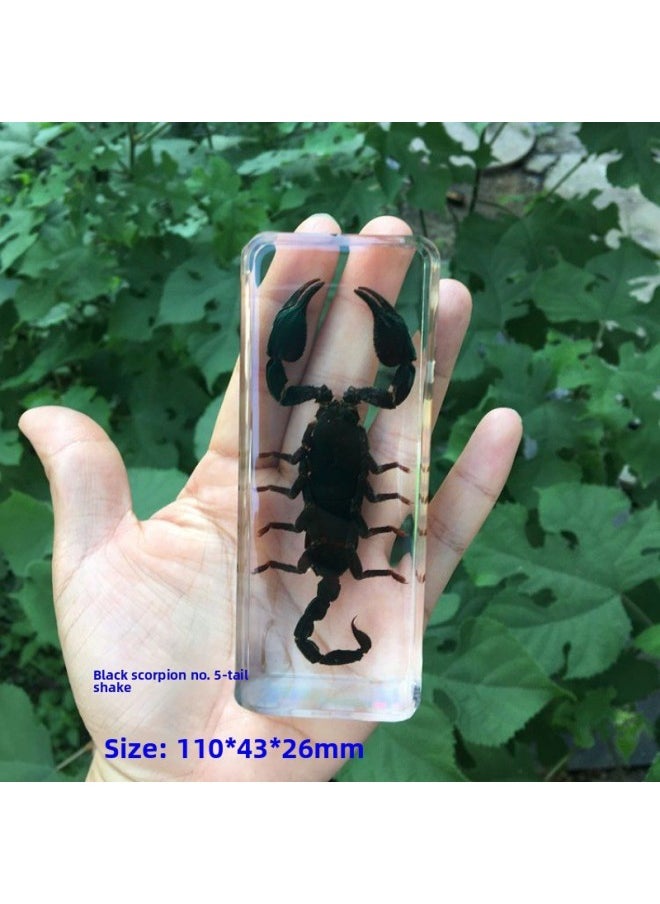 Insect Specimen Real Mono Fairy Amber Scarab Book Town Home Desk Decoration Mantis Spider Scorpion Factory-Color:Rainforest Black Scorpion 5-Tail Flick  - Image 1