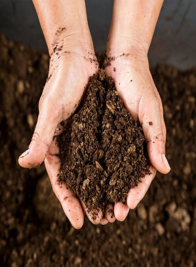 Doter Organic Sphagnum Peat Moss, 32 fl oz, Enriches Plant Roots, Gardening Soil Amendment and Carnivorous Plant Soil Media - Image 3