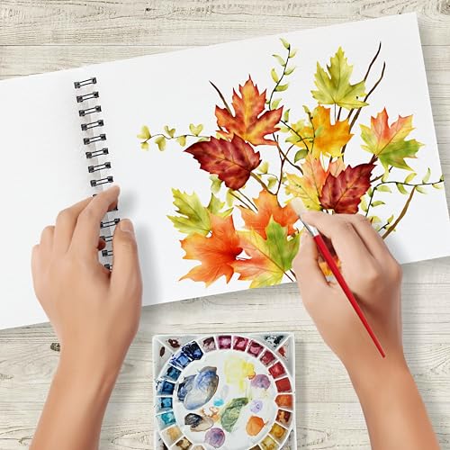 Anupam Artists Watercolour Wire-O Book 300 GSM Cold Pressed A4 24 Pages for Watercolour, Gouache, Ink, Acrylic, Wet & Mixed Media, Art Painting, Drawing for Artists & Amateurs - Image 3