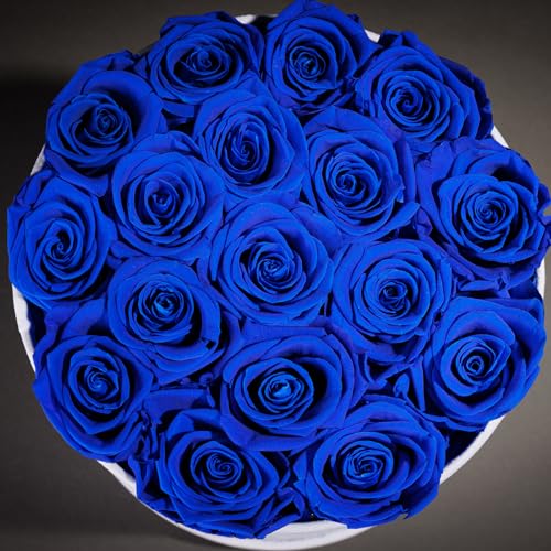 Prifroti 17 Flowers in a Luxury Suede Box, Birthday Gifts for Women, Preserved Flowers, Mothers Day Roses Gift for Mom, Royal Blue - Image 5