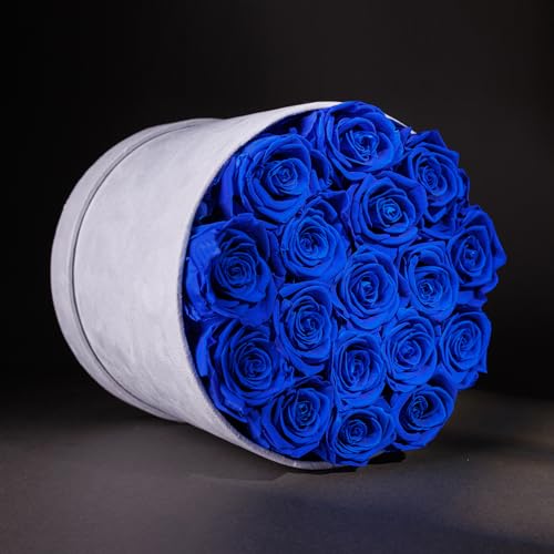 Prifroti 17 Flowers in a Luxury Suede Box, Birthday Gifts for Women, Preserved Flowers, Mothers Day Roses Gift for Mom, Royal Blue - Image 2