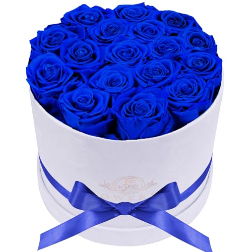 Prifroti 17 Flowers in a Luxury Suede Box, Birthday Gifts for Women, Preserved Flowers, Mothers Day Roses Gift for Mom, Royal Blue - Image 1