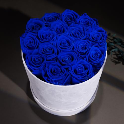 Prifroti 17 Flowers in a Luxury Suede Box, Birthday Gifts for Women, Preserved Flowers, Mothers Day Roses Gift for Mom, Royal Blue - Image 4