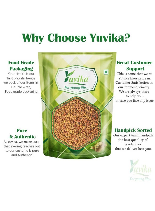 Yuvika Alfa Seeds - Alfalfa Seeds - Medicago Sativa - Lucerne Grass Seeds 100 Grams - Image 3