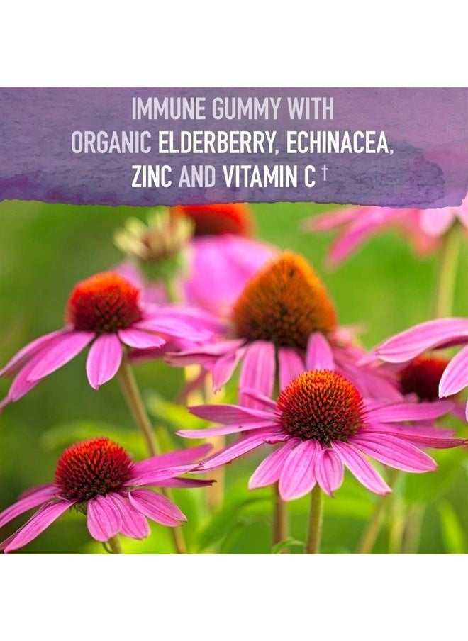 Garden of Life - mykind Organics Elderberry Gummies for Adults & Kids - Immune Support Supplement with Organic Fruit, Herbal Blend, Elderberry, Echinacea, Zinc, Vitamin C, 120 Vegan Gluten Free Gummies - Image 1