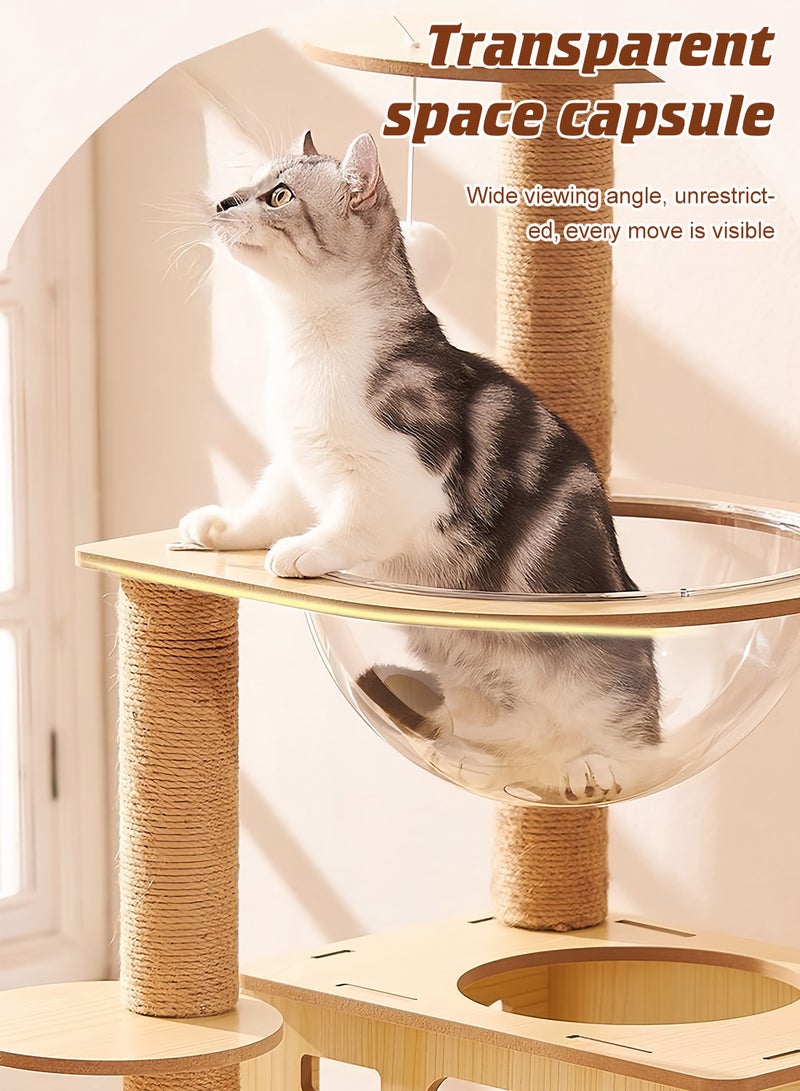 كيدل القط شجرة القط تسلق إطار القط الخدش بعد القط بيت القطط المتعددة - Image 4