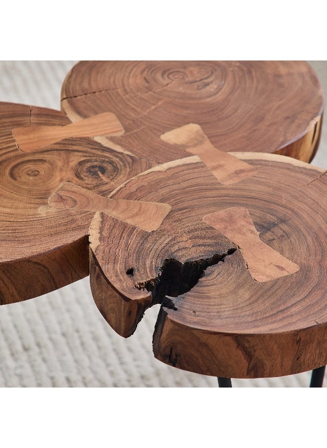 Home Box Log Live Edge Solid Wood Coffee Table  - Image 3