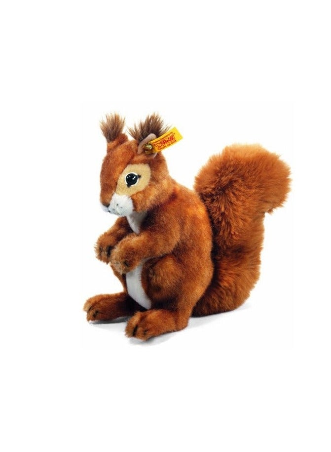 ستيف نيكي السنجاب