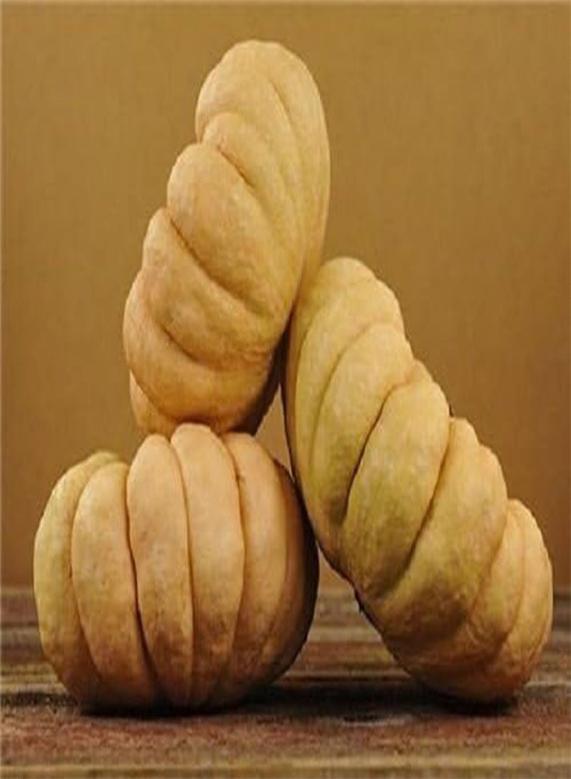 GGOOT YUXIJIANGBINGGUA Squash( 10 Seeds) Japanese Open pollinated,Heirloom - Image 1