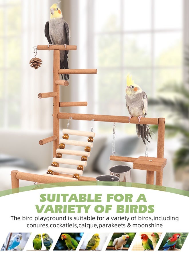 سوفت تاتش ملعب الطيور، مجثمات خشبية طبيعية للطيور، حامل ببغاء، صالة ألعاب رياضية للببغاوات والكونيور والعصافير، مع صينية قابلة للإزالة، سلم وكوبين من الفولاذ المقاوم للصدأ - Image 4