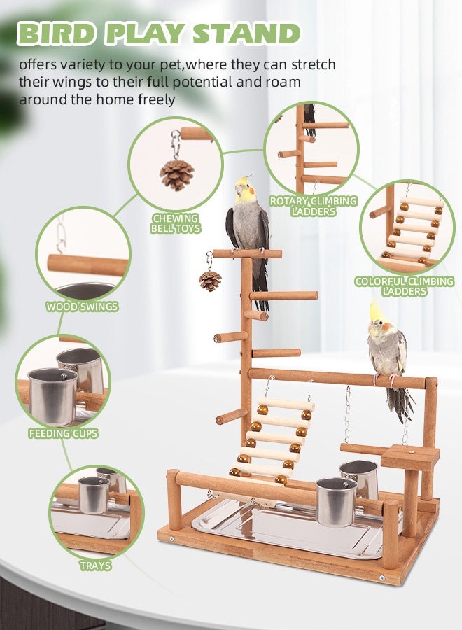 سوفت تاتش ملعب الطيور، مجثمات خشبية طبيعية للطيور، حامل ببغاء، صالة ألعاب رياضية للببغاوات والكونيور والعصافير، مع صينية قابلة للإزالة، سلم وكوبين من الفولاذ المقاوم للصدأ - Image 2