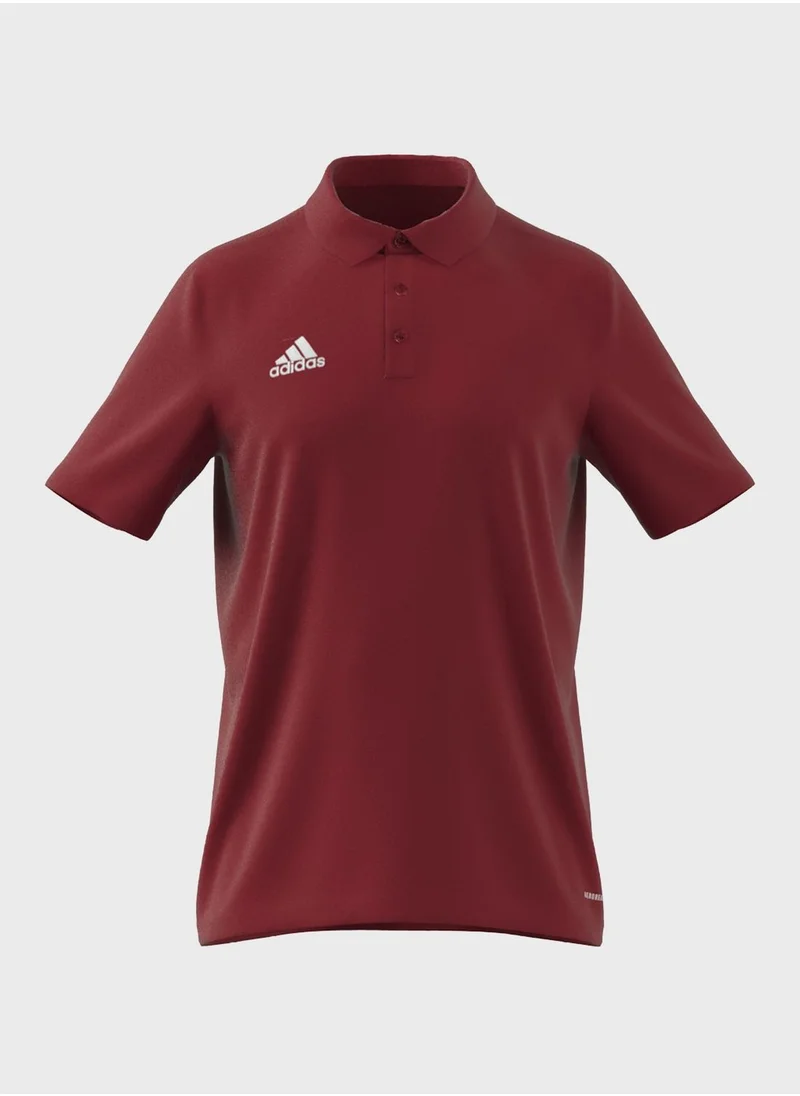 Adidas Entrada 22 Polo Shirt