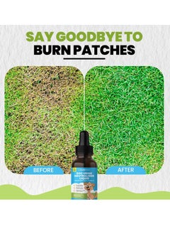 Buddy Dog Urine Neutraliser Liquid Supports Freshness and Lawn Protection Helps Maintain Clean and Odour Free Spaces  - Image 4