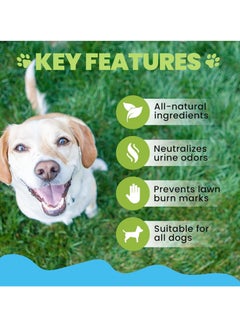 Buddy Dog Urine Neutraliser Liquid Supports Freshness and Lawn Protection Helps Maintain Clean and Odour Free Spaces  - Image 5