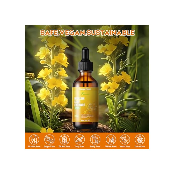 MaxuraFit Mullein Drops for Lungs Liquid - Support Respiratory Herbal Supplement,Mullein Leaf Extract for Lungs Cleanse with Cordyceps, Marshmallow Root & Licorice Root Extract 2 fl oz - Image 4