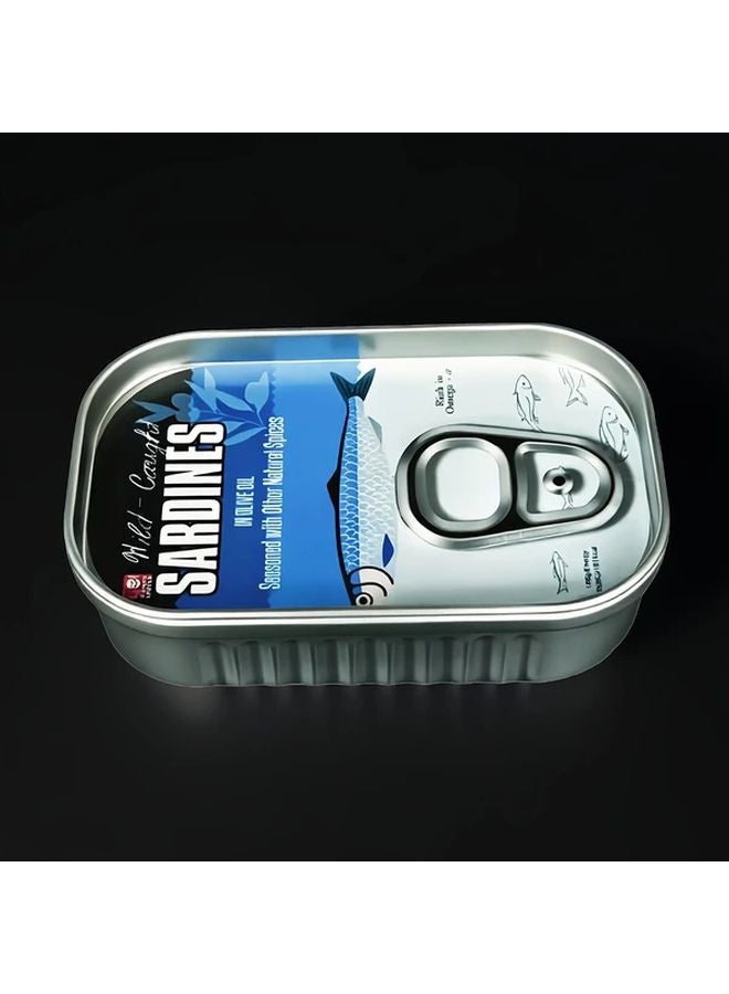 صندوق معدني للتخزين على شكل علبة سردين، حصالة، خزانة سرية، منظم للمنزل - Image 1