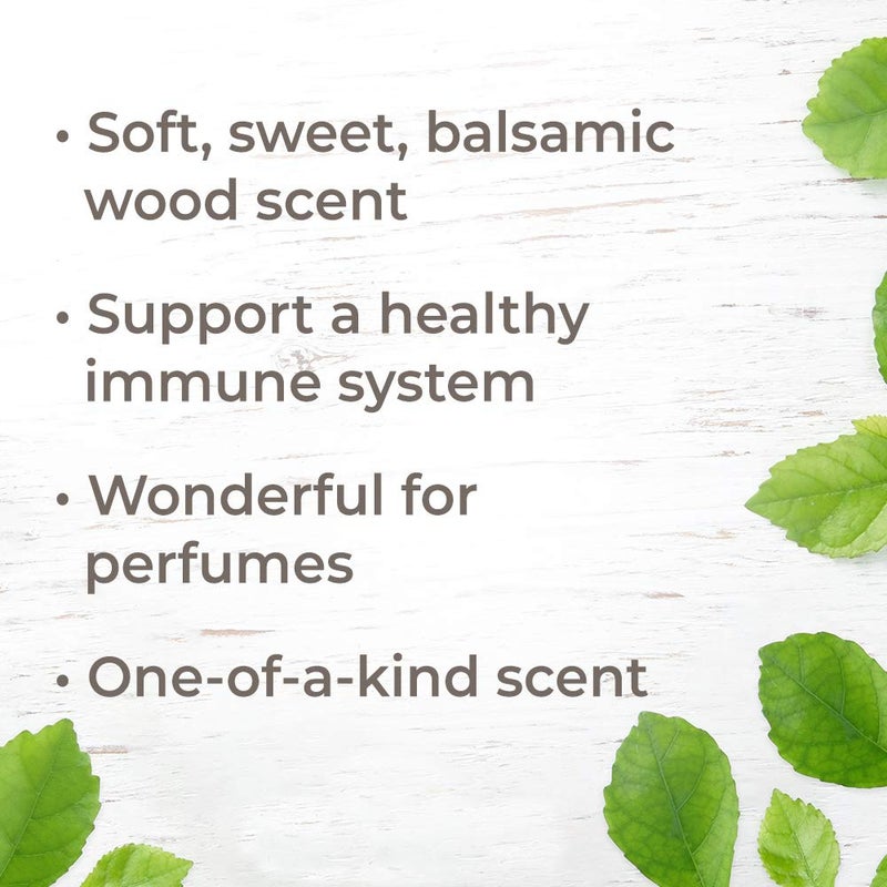 Plant Therapy Texas Cedarwood Essential Oil 30 mL (1 oz) 100% Pure, Undiluted, Therapeutic Grade - Image 2