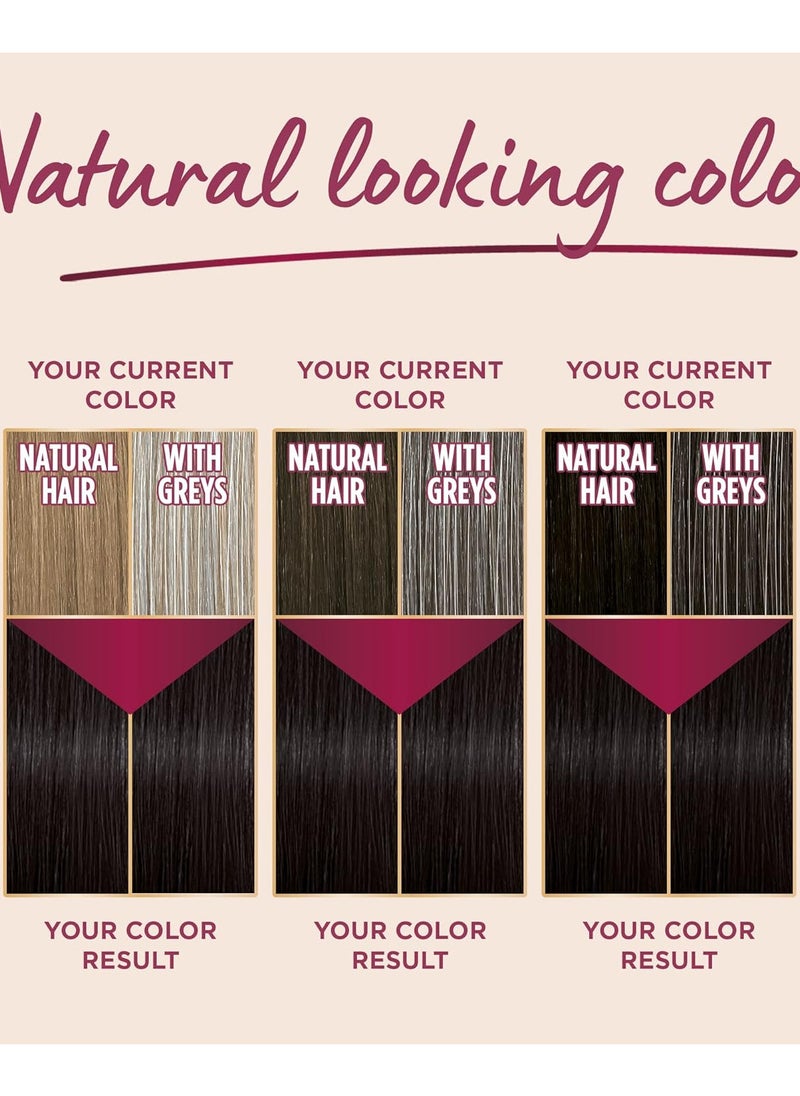 Palette - Palette Intensive Hair Color Cream 5-68 Medium Chestnut - Image 1