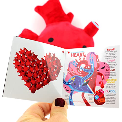 I Heart Guts Heart Plush - I Got The Beat! - 10" Stuffed Heart Plushie for Open Heart Surgery Gifts - Educational Cardiologist Gifts for Med Students, Science Teachers & Cardiac Nurses - Image 5