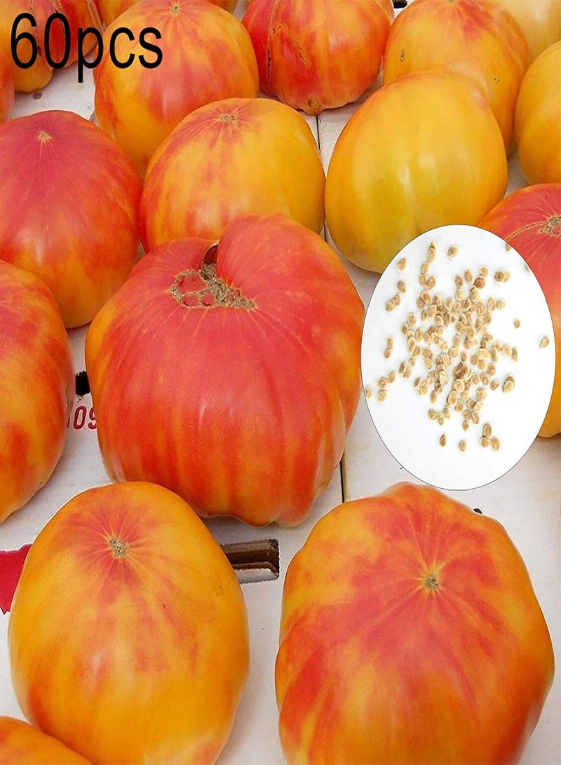 جي جوت 60 قطعة/كيس بذور، بذور طماطم صفراء ذهبية طبيعية غير معدلة وراثيًا قابلة للزراعة في الحديقة أو الفناء أو الهواء الطلق، 1 بذور طماطم - Image 2