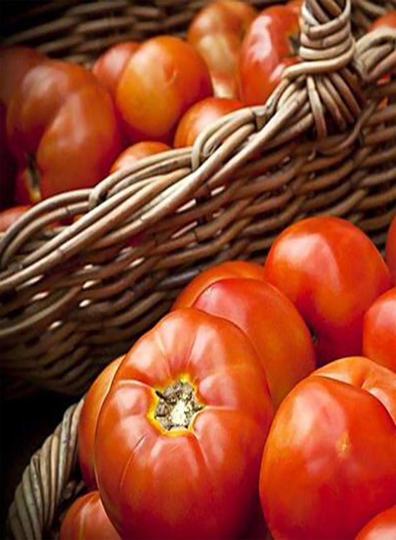 جي جوت 60 قطعة/كيس بذور، بذور طماطم صفراء ذهبية طبيعية غير معدلة وراثيًا قابلة للزراعة في الحديقة أو الفناء أو الهواء الطلق، 1 بذور طماطم - Image 1